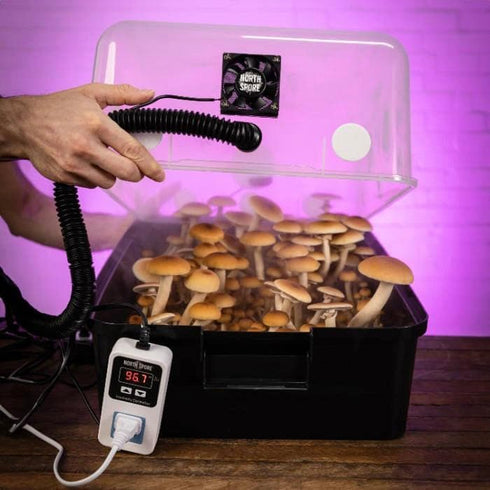 Automated 'Boomr Bin' Wood-Loving Monotub Mushroom Grow Kit
